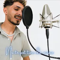 Bubu Pustanu